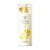 Champú Lujoso de Jengibre Esponjoso Control de Grasa, Control de Grasa, Cabello Esponjoso, Anticaspa, Antipurito, Limpieza Profunda, Fragancia de Larga Duración Champú