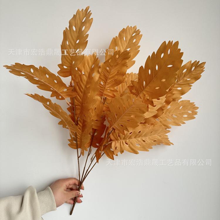 微信图片_202303241646123_副本