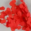 Transfronterizo Yunnan Hojas de Manzana Eterna Hojas de Eucalipto Conservación Flores Reales Simple Dropshipping Flores Secas Multicolor