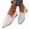 Sapatos Casuais Planos de Malha Fly de Bico Fino de Tamanho Grande Europeus e Americanos para Mulheres, Mocassins Slip-On Respiráveis para Todas as Estações