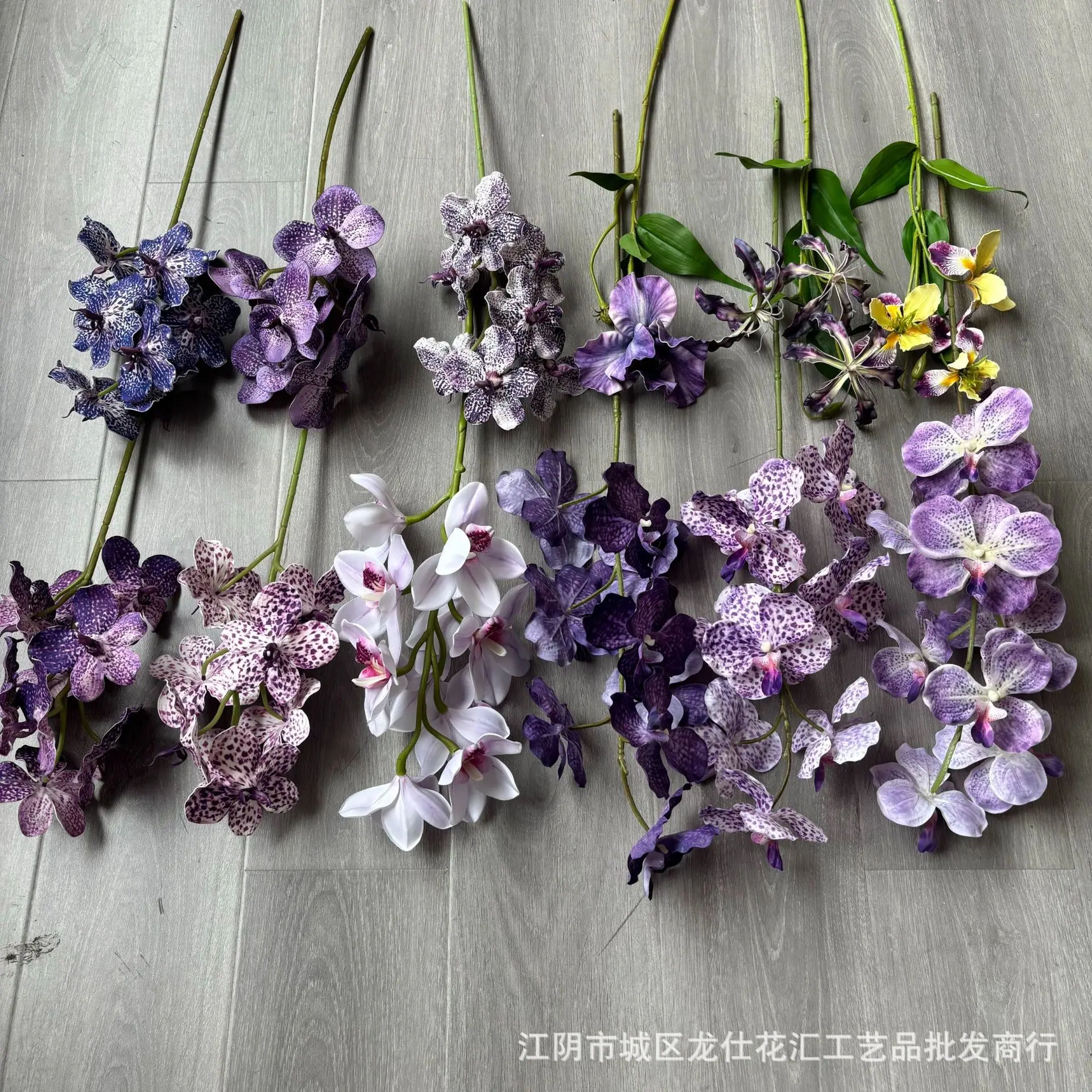 合集3.jpg