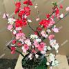 Las Diez Flores Famosas de China Flor de Begonia Maceta Pila Vieja Planta Resistente al Frío Flor Perezosa Fácil de Cultivar Próspera Casa Todo el Año Begonia
