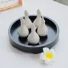 Botella de Perfume, Recipiente para Aceites Esenciales, Cuenco para Aceites Esenciales, Botella de Aceite Esencial con Forma de Hoja, Bandeja de Madera, Herramientas de Masaje para Spa, para Uso en Salones de Belleza