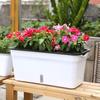 Cajas de Macetas de Plástico Largas para Hogar al por Mayor con Absorción Automática de Agua, Macetas de Doble Capa para Cultivo de Verduras para Plantas Verdes, Amigables para Personas Perezosas, Balcón, Exterior, Interior