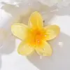Presilha de Cabelo Flor Plumeria Atacado Transfronteiriço, Presilha de Cabelo para Nuca, Acessório de Cabelo Presilha Tubarão Celebridade da Internet