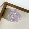 Novo Presilha de Cabelo Xadrez de Acetato com Camélia para Mulheres, Estilo Coreano Moda Floral Presilha Tubarão Acessório de Cabelo com Toque de Luxo, Grampo Versátil