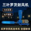 Soplador de Raíces LuoCi 7.5kW de Alta Presión para Transporte Neumático de Gas Especial Acero Inoxidable Anticorrosión