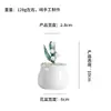 Adornos de Artesanía de Vidriado Zibo Orquídea Suzuki Planta Verde en Maceta Especialidad de Boshan Decoración del Hogar Regalo de Escritorio