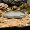 Lagarto Dragão-Barbudos Rocha de Imitação Plástico Tigela de Comida Sapo Cornudo Cobra de Estimação Bacia de Banho Bacia de Água Rasa Tigela de Comida para Répteis