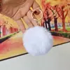 Chaveiro Pingente Pompon de Pelo Sintético de Coelho Outono/Inverno 8CM Charme para Bolsa Feminina Chaveiro de Pelúcia Curta Artificial