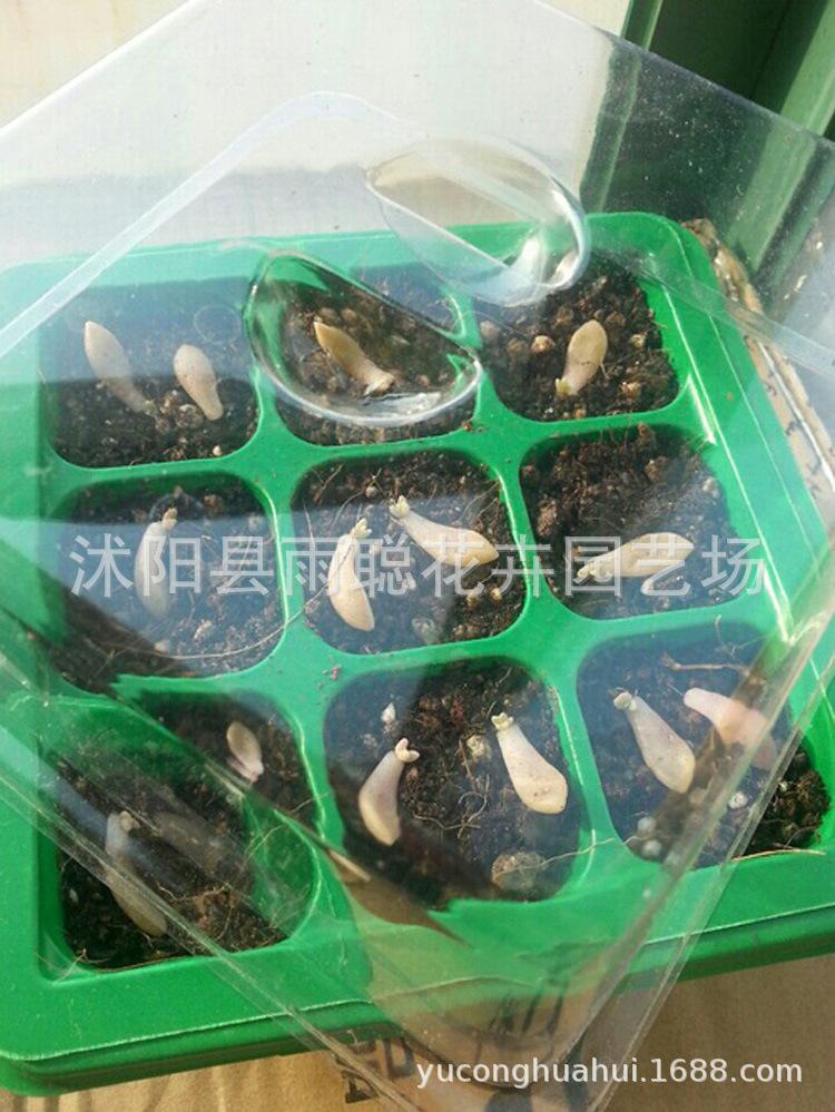 2595903530_1404327002