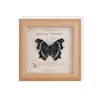 Especimen de Mariposa Real Pintura Decorativa Producto Terminado Soporte de Exhibición Decoración del Hogar Estilo Nórdico Tridimensional Hecho a Mano DIY Regalo de Cumpleaños