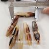 Hebilla de cuerno de oliva natural, hebilla de cuerno real, hebilla de cuerno de oliva, hebilla de oliva de un solo agujero, hebilla de abrigo de 6 mm y 5 mm.