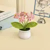 Planta de Vasinho Não-Me-Esqueça Tecida à Mão Decoração de Casa Flor Artificial de Tricô Fio Crochê Buquê Presente Transfronteiriço