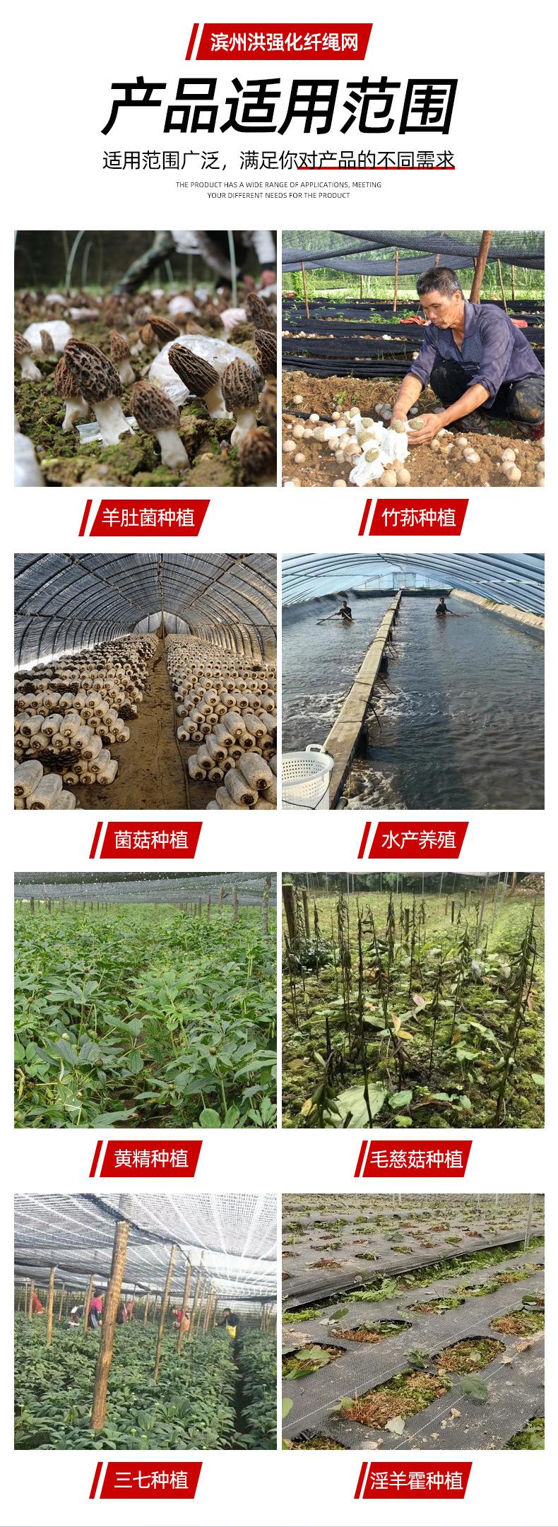 详情_07.jpg