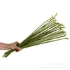Hastes de Flores Artificiais, Hastes de Rosa Antúrio Vermelho, Hastes Retas, Arame de Ferro para DIY, Hastes de Flores Moldadas por Injeção Revestidas com Cola, Materiais e Acessórios para Artesanato com Flores