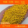 Masterbatch amarelo brilhante importado 81198 resistente à temperatura e ao clima masterbatch amarelo brilhante importado 81198