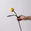 Noite Escura Estilo Fluido Tulipa Artificial Vaso Falso Sala de Estar Estilo Ins Arranjo de Flores de Seda Chá Preto Enfeites Decorativos