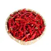 Guri [Seleção] Pimentas Secas, Extra Picante, Pimentas Aromáticas, Páprica Picante, Moagem Grossa, Pimentas Cozidas em Óleo, Pimentas Secas