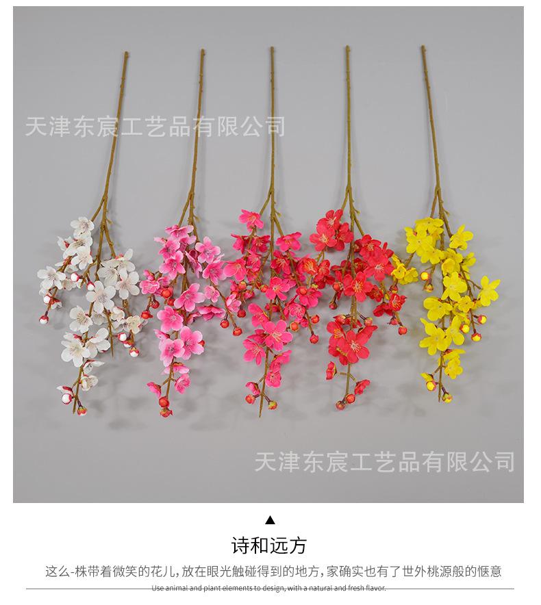 详情_06.png
