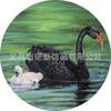 Diy668 Cisne Negro Transfronterizo Piedra del Tiempo Cristal de Gema Parche Redondo de Vidrio Accesorios Al Por Mayor