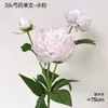 3 Cabezas de Peonías Artificiales para Fotografía de Bodas, Arreglos Florales, Decoraciones de Flores Artificiales, Ramo, Flores Artificiales de Grado Fotográfico