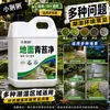 Removedor de musgo para pisos de cemento, removedor de musgo especializado para superficies de carreteras, musgo en tejados, limpieza antideslizante para pizarra