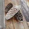 Atacado de Fábrica de Pinhas Ornamentais de Vários Tamanhos 1-18cm, Pinhas de Flores Secas, Pinhas Oleadas com Hastes para Decorações de Natal