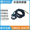 Sensor de Inmersión de Agua 12/24V para Sala de Máquinas y Estación Base Detección y Alarma de Fugas de Agua, Sonda de Tipo Punto Integrada con Salida de Señal Digital