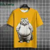 Camiseta com Estampa 3D de Gato Gordo Fofo Moda Verão Manga Curta Streetwear Tendência Casual Solta