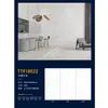 Pizarra Brillante 900*1800 para Toda la Casa con Textura Ilimitada que Puede Usarse como Pizarra de Pared y Suelo Ingeniería Decoración del Hogar