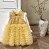 Vestido de Año Nuevo para Niña Estilo Chino, Traje Tang Rosa Vestido de Cumpleaños, Vestido de Pastel, Vestido de Princesa Forrado de Felpa