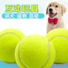 Brinquedo para Cachorro Bola Golden Retriever Teddy Bola Elástica Resistente a Mordidas Limpeza de Dentes Bola de Tênis Animal de Estimação Filhote Labrador Filhote Treinamento