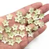 30 12mm puntiagudas de cinco pétalos esmalte de color agujero central flores pequeño loto de nieve diy hecho a mano pasador antiguo tocado