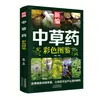 Guia Colorido Ilustrado Recém-Compilado de Fitoterapia Chinesa: 148 Espécies de Ervas Selvagens com Suas Respectivas Fórmulas, um Livro sobre o Conceito de "Alimento e Remédio Sendo Um Só" para Cuidados de Saúde Familiares