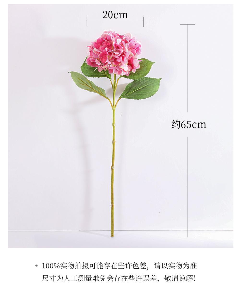 详情_03.jpg