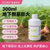 Inchaços de Raízes Subterrâneas São Ampliados e Tornam-se Mais Nutritivos, Aumentando a Resistência a Doenças e Incrementando a Produção. Inchaço Rápido Promove Raízes e Mudas Fortes, Melhorando a Qualidade. Venda por Atacado de Fabricantes