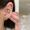 ¡Garra de dragón! Tienda Ringring Pequeño Super Flash Uña de Hueso de Oreja Acero de Titanio Uña de Oreja Perforación de Oreja Aretes de Uña Coclear