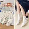 Calcetines de media pantorrilla para mujer con encaje y lunares, Calcetines altos transpirables, Calcetines simples de media pantorrilla para mujer, Calcetines al por mayor de la ciudad de Zhuji