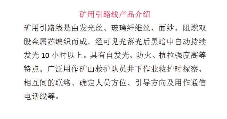 发光引路线.jpg