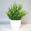 Plantas Artificiais Mais Vendidas Transfronteiriças, Plantas Falsas, Plantas Verdes, Decoração Interna e Externa Eucalipto em Vaso de Plástico Plantas Pequenas em Vaso