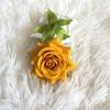 Rosa de esquina de franela de simulación, diámetro de 6 cm, pequeña cabeza de rosa de cuerno, accesorios de bricolaje, flores falsas, flores decorativas de pared