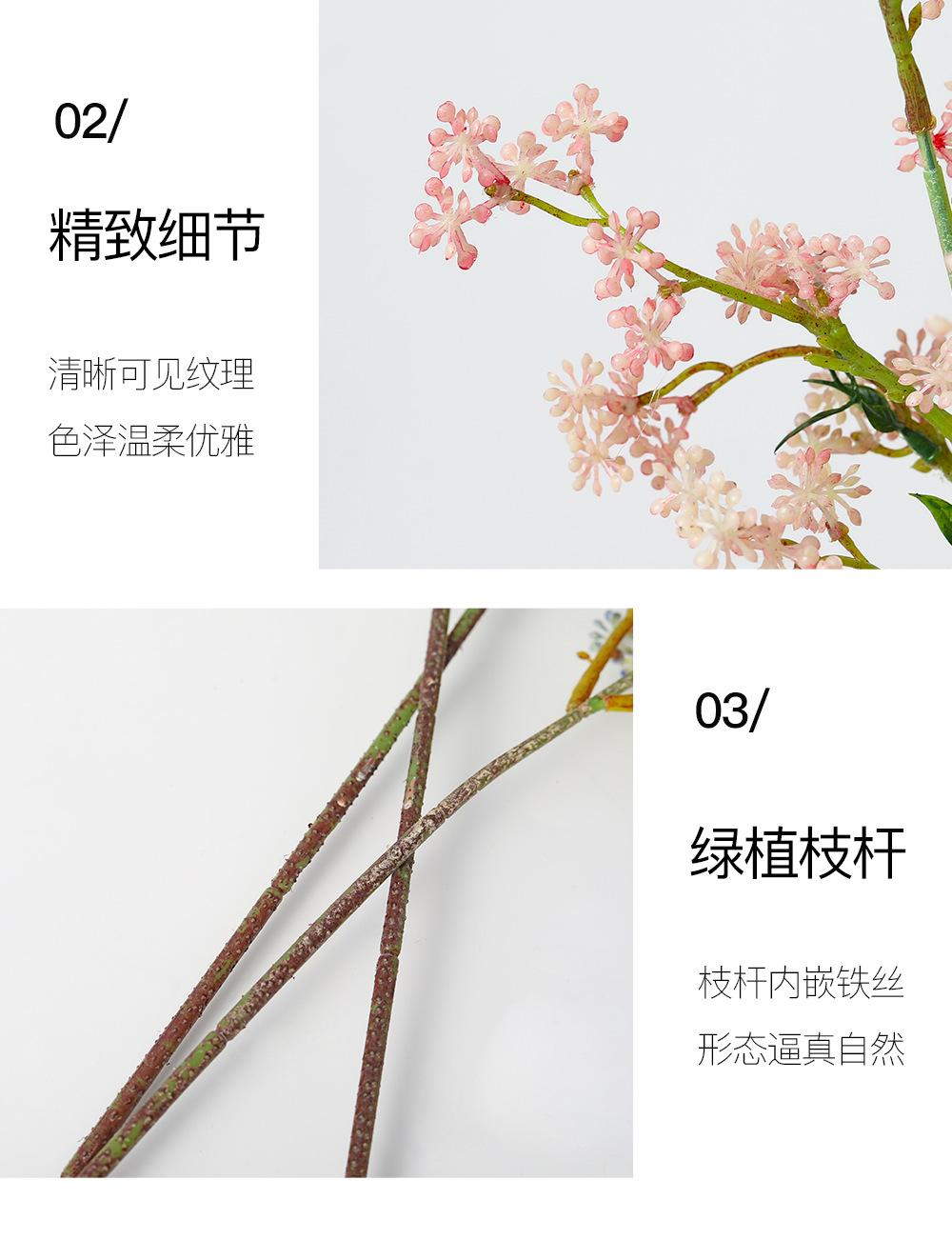 小单支燕麦果详情图