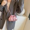 Bolso Plisado Estilo Francés para Mujer 2026 Nuevo de Moda Popular en Internet Bolso Dumpling de Moda Casual Elegante Bolso de Hombro Cruzado