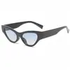 Óculos de Sol Moda de Rua Nova Transfronteiriça 2024 Óculos de Sol Moda Feminina Masculina Olho de Gato Popular na Internet Óculos de Sol Versáteis para Fotos de Rua