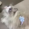 Conjunto de Coleira Peitoral Ajustável Personalizado para Gatos, Anti-Fuga, para Passear com Gatos e Cachorros ao Ar Livre