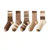Colección de otoño: Calcetines de mujer elegantes y modernos en una paleta de colores Maillard, con diseños de rayas, letras y de longitud larga, perfectos para uso casual y versátiles para cualquier atuendo en otoño e invierno.