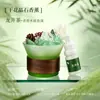 Pedras de Cristal Aromáticas, Flores Secas, Fragrância para Casa, Itens Decorativos de Luxo, Fragrância de Óleo Essencial, Caixa de Presente com Pedra de Cristal, Atacado Criativo