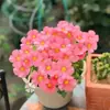 Planta con Flores Perennes, Bulbos de Semillas de Impatiens, Plantas con Flores para Jardines, Plantas de Maceta para Balcón al por Mayor, Entrega de una Pieza
