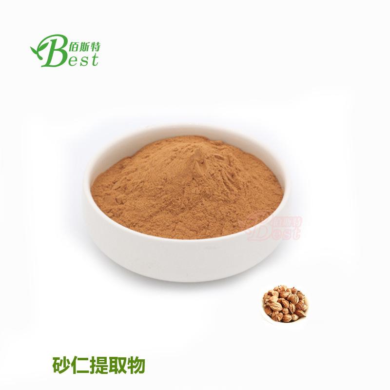 砂仁1